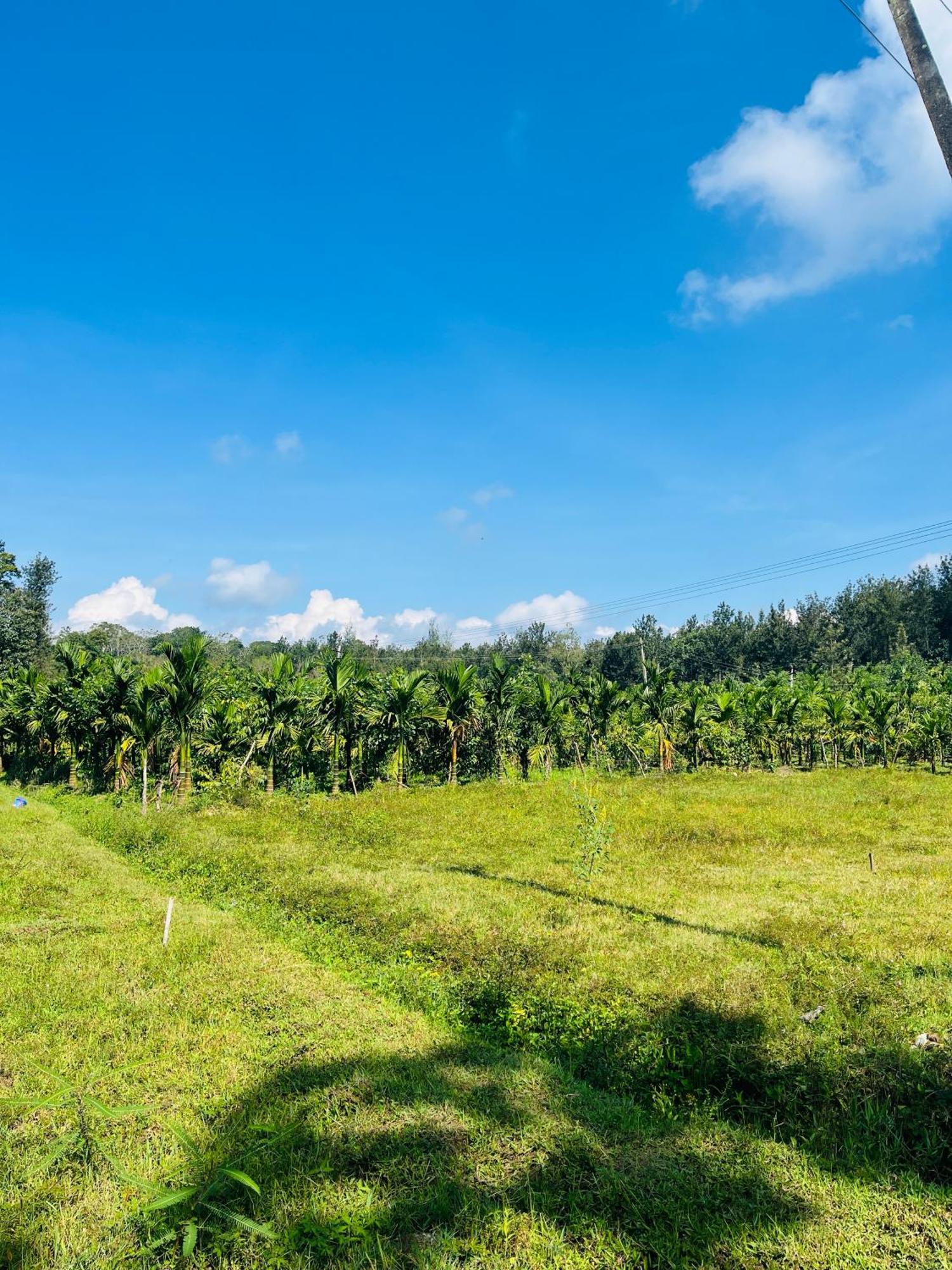 Preetham Homestay Kushālnagar المظهر الخارجي الصورة