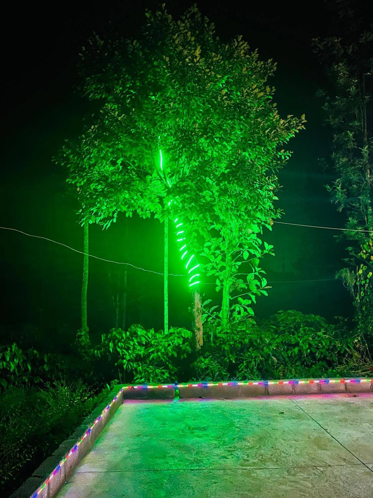 Preetham Homestay Kushālnagar المظهر الخارجي الصورة